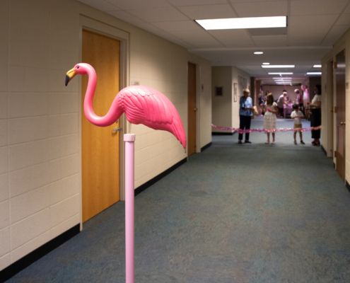 flamingo