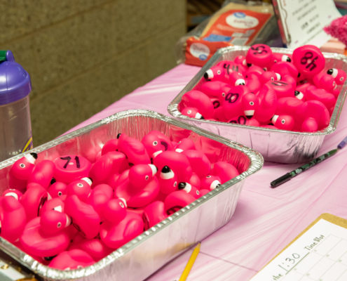 pink ducks